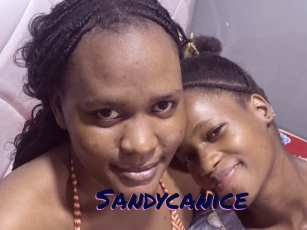 Sandycanice