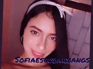 Sofiaescobarbangs