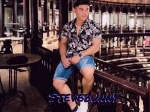 Stevebunny