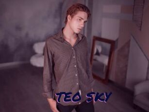 TEO_SKY