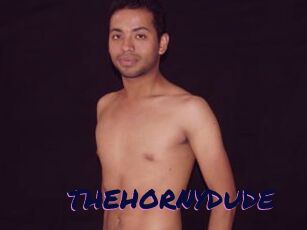 THEHORNYDUDE