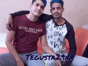 Tegusta29xx