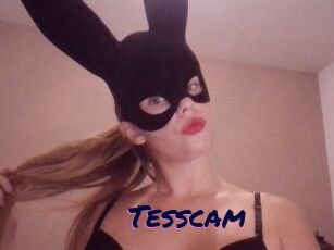 Tesscam