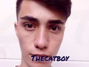 Thecatboy