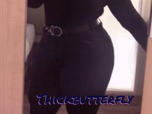 Thickbutterfly