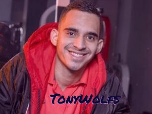 TonyWolfs