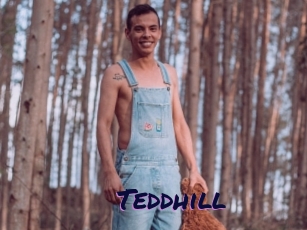 Teddhill