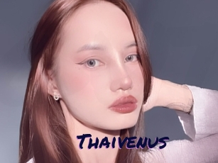 Thaivenus