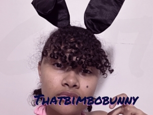 Thatbimbobunny