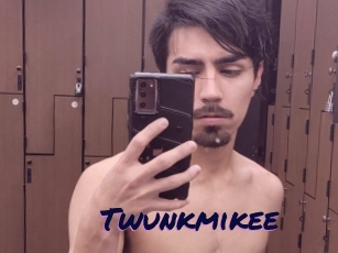 Twunkmikee