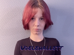 Udelehallett