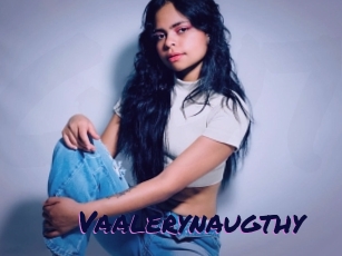 Vaalerynaugthy