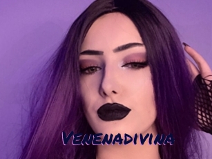 Venenadivina