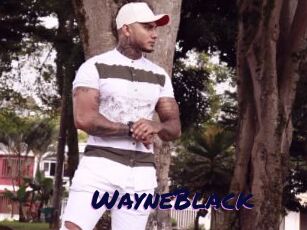 WayneBlack