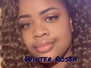 Winter_Rosea