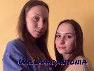 Willaandantonia