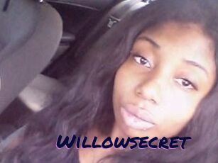 Willow_secret