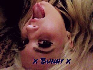 _x_Bunny_x_