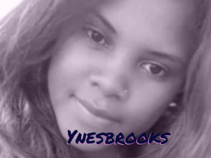 Ynesbrooks