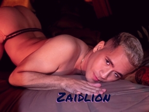 Zaidlion