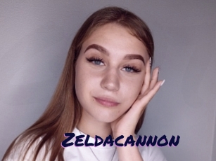 Zeldacannon